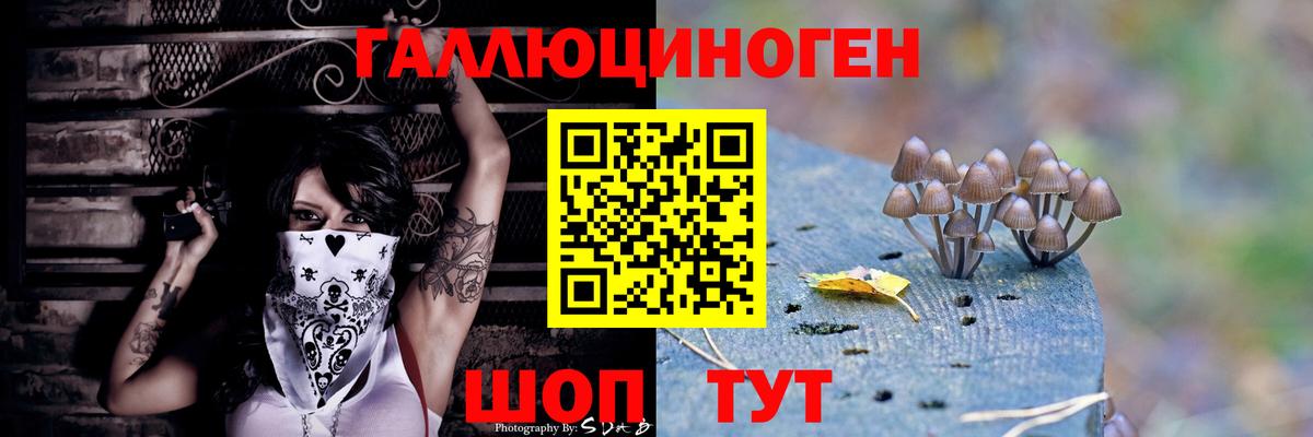 Псилоцибиновые грибы ЛСД  Псилоцибиновые грибы Cubensis  Вход с VPN  Кириши 
